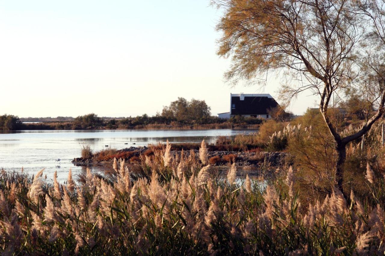 La Cabane Du Boumian Saintes-Maries-de-la-Mer Luaran gambar